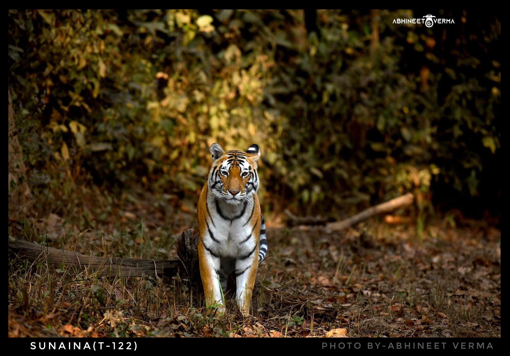 Sunaina (T-122)